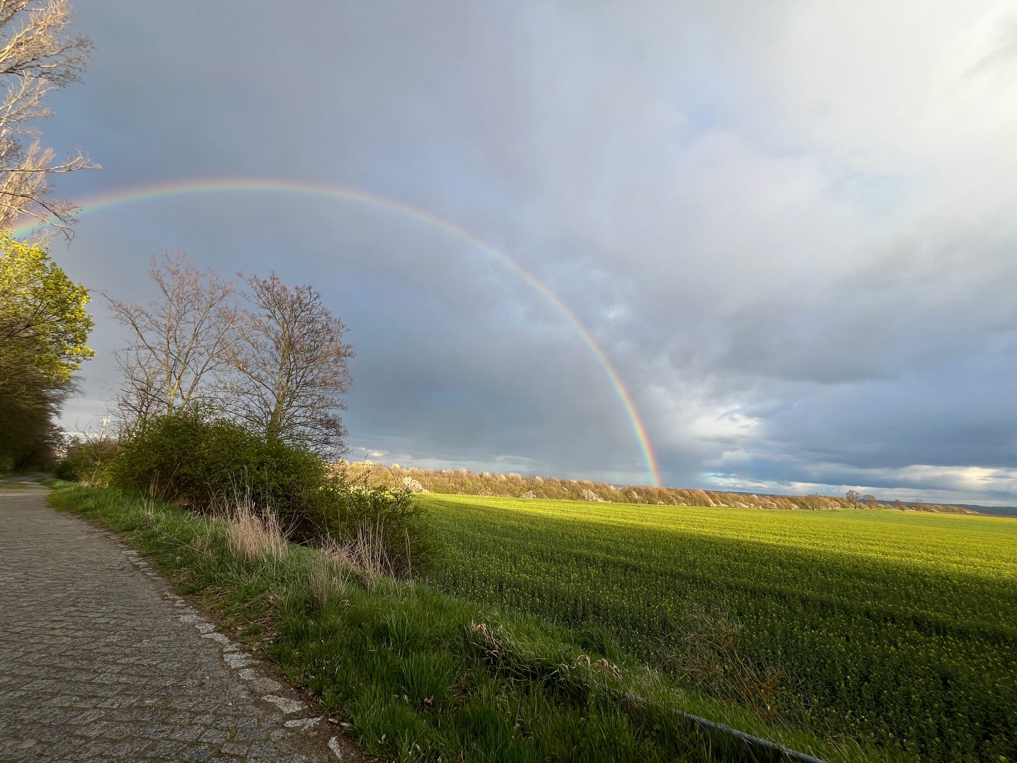 Regenbogen über dem Landgut